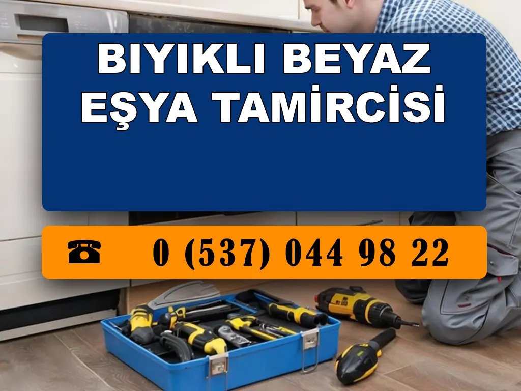 Bıyıklı Beyaz Eşya Tamircisi 