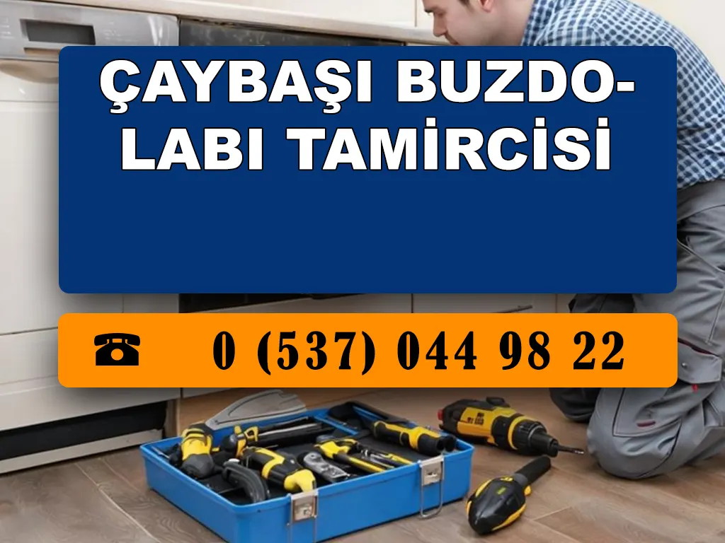 Çaybaşı Buzdolabı Tamircisi 
