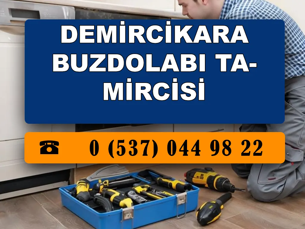 Demircikara Buzdolabı Tamircisi 