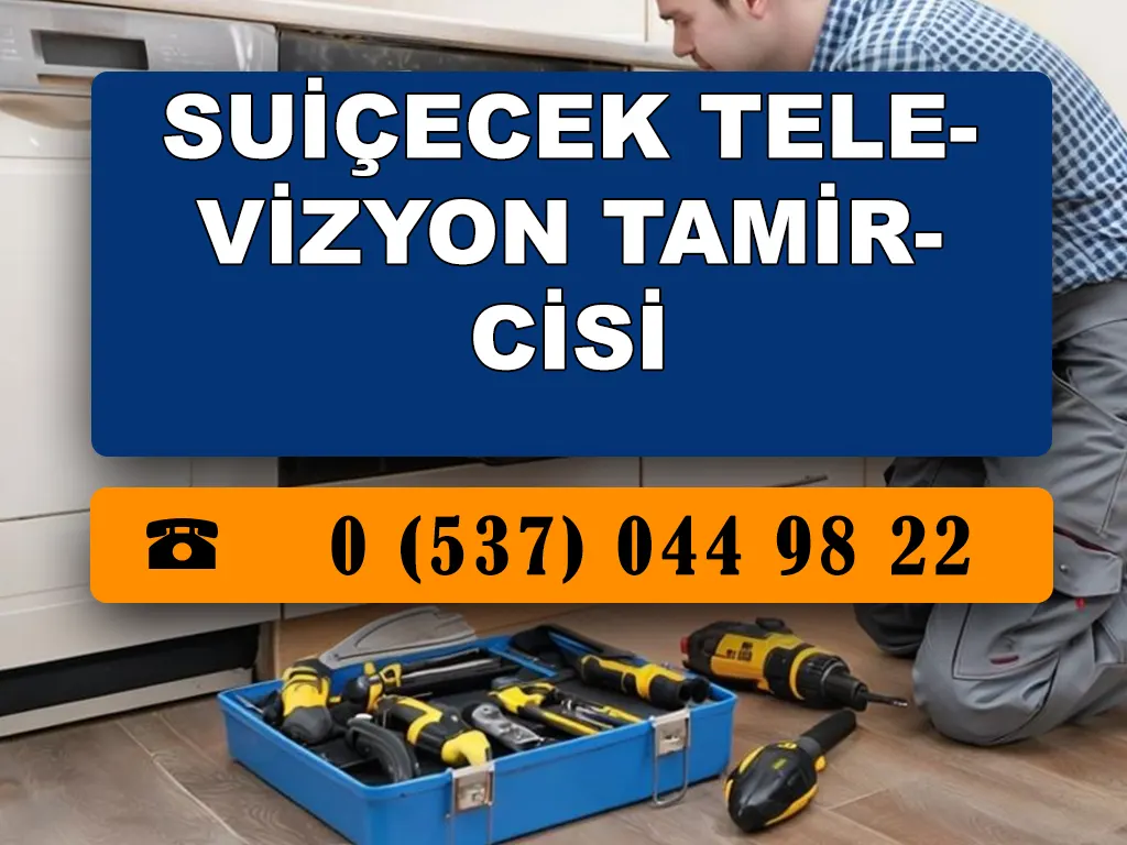 Suiçecek Televizyon Tamircisi 